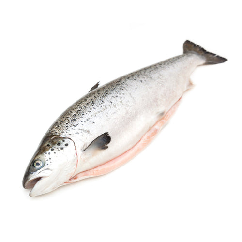 Salmon Noruego - BeFish